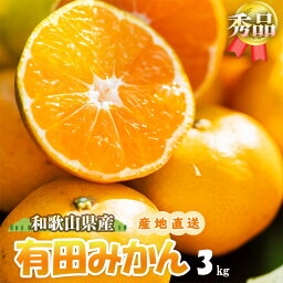 【<strong>ふるさと納税</strong>】【先行予約】和歌山県有田産 有田<strong>みかん</strong> 3kg (2S～Lサイズ混合)【まごころ手選別】【ミカン 蜜柑 温州<strong>みかん</strong> 柑橘 和歌山】