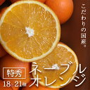 【ふるさと納税】【先行予約】こだわりの 国産 ネーブルオレンジ 特秀 18個~21個【国産 オレンジ ネーブル フルーツ 贈答 ギフト】