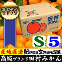 【ふるさと納税】田村みかん/5キロ青秀【...