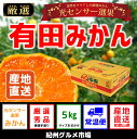 【ふるさと納税】【秀選品】有田みかん 光センサー選果 5kg...