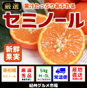 【ふるさと納税】セミノール(秀品) 5kg〔M〜3L〕和歌山...