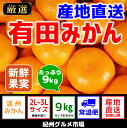 【ふるさと納税】【産地直送】有田みかん 約9kg(大玉:2L...
