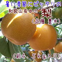 【ふるさと納税】有田の樹上成熟梨 特撰 豊水梨 約4.5kg...