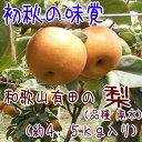 【ふるさと納税】有田...