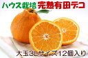 【ふるさと納税】甘みも果汁もたっぷりのハウス栽培3Lサイズの...