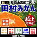 【ふるさと納税】有田みかんの最高峰【和歌山ブランド】人気の田...