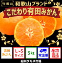 【ふるさと納税】【こだわり】有田みかん 5kg(L〜Sサイズ...