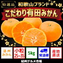 【ふるさと納税】【こだわり】有田みかん 5kg(2S・3Sサ...