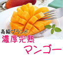 【ふるさと納税】【高級】【特大】濃厚!こだわりの完熟マンゴー...