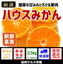 【ふるさと納税】【高級】ハウスみかん 2.5kg(L〜Mサイ...