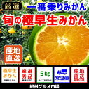 【ふるさと納税】【極早生みかん】旬の極早生 5kg 紀州グル...