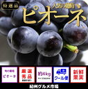 【ふるさと納税】【旬のぶどう】人気のピオーネ 約4kg 紀州...