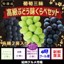 【ふるさと納税】【厳選】葡萄三昧 高級ぶどう 味くらべセット...