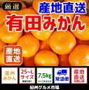 【ふるさと納税】【産地直送】有田みかん 約7.5kg(2S〜...