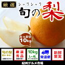 【ふるさと納税】シャリシャリ食感 旬の梨 たっぷり10Kg(...