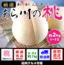 【ふるさと納税】【高級】和歌山ブランド あら川の桃 約1.8...