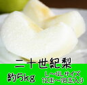 【ふるさと納税】二十世紀梨 約5kg ◆※8月下旬頃〜9月中...