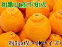 【ふるさと納税】【春柑橘の代表格】和歌山の不知火(デコポン)...