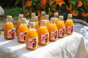 【ふるさと納税】■田村みかん蜂久農園の清見がっつりしぼったで...
