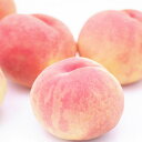 【ふるさと納税】和歌山の桃 約2kg※2019年6月下旬頃〜...