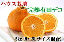 【ふるさと納税】【ハウス栽培】完熟有田デコ(不知火)約5kg...