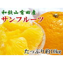 【ふるさと納税】和歌山有田産サンフルーツたっぷり10kg(M...