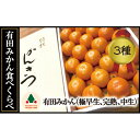【ふるさと納税】【みかん三昧】「定期便」有田みかん・食べくら...