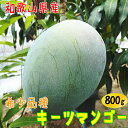 【ふるさと納税】【夏秋の美味】【希少マンゴー】濃厚キーツマンゴー 約800g(1~2玉) ≪農家直送 産直 果物 フルーツ 和歌山県産≫※2022年9月中旬~下旬頃より順次発送予定