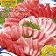【ふるさと納税】プレミア和歌山認証品 和歌山県串本産本マグロ(養殖) トロ&赤身セット 240g ※着日指定不可 10,000円