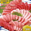 【ふるさと納税】プレミア和歌山認証品 和歌山県串本産本マグロ(養殖) トロ&赤身セット 500g ※着日指定不可 20,000円