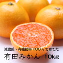 【ふるさと納税】特別栽培 有田みかん10...