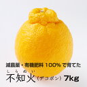 【ふるさと納税】特別栽培 不知火(デコポン)7kg 【発送...