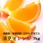 【ふるさと納税】特別栽培 清見オレンジ7kg 【発送時期指定可】【有機肥料100%・減農薬栽培の春みかんを農家直送】 12,000円