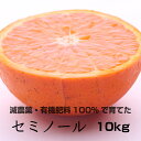 【ふるさと納税】特別栽培 セミノールオレ...