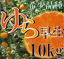 【ふるさと納税】濃厚な味わいゆら早生みかん10kg【10月上旬より発送】希少品種《有機質肥料100%》