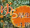【ふるさと納税】《5kg×3箱》濃厚な味わいゆら早生みかん合計15kg【10月上旬より発送】希少品種《有機質肥料100%》