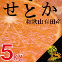 【ふるさと納税】《数量限定》柑橘の王様せとか5kg【3月上旬より順次発送】