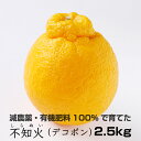 【ふるさと納税】特別栽培 不知火(デコポ...