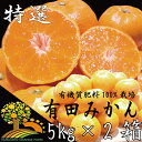 【ふるさと納税】【5kg×2箱】特選こだ...