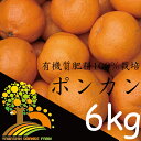 【ふるさと納税】春柑橘こだわりのポンカン和歌山産 6kg