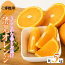 【ふるさと納税】こだわりの清見オレンジ ご家庭用 5kg ※2022年3月上旬頃~2022年3月下旬頃より順次発送予定 ※着日指定不可