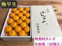 【ふるさと納税】【極早生・有田みかん】化粧箱 『特秀』Mサイ...
