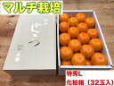 【ふるさと納税】【マルチ栽培・有田みかん】化粧箱『特秀』Lサ...
