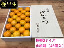 【ふるさと納税】【極早生・有田みかん】化粧箱『特秀』Sサイズ...