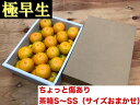 【ふるさと納税】ちょっと傷あり【極早生・有田みかん】S〜SS...