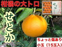 【ふるさと納税】【ちょっと傷あり】『柑橘の大トロ』 ハウスせ...