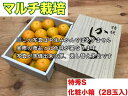 【ふるさと納税】【マルチ栽培・有田みかん】化粧小箱『特秀』Sサイズ28玉入※2019年12月中旬~2020年1月中旬頃に順次発送予定