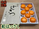 【ふるさと納税】【木成完熟・紅はっさく】『特秀』L〜M(8〜...
