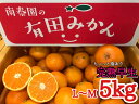 【ふるさと納税】ちょっと傷あり【完熟早生・有田みかん】Lまた...