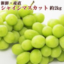 【ふるさと納税】【新鮮・産直】和歌山有田産シャインマスカット2kg※2020年8月下旬~9月下旬頃に順次発送予定※離島、北海道、沖縄県はお届けできません